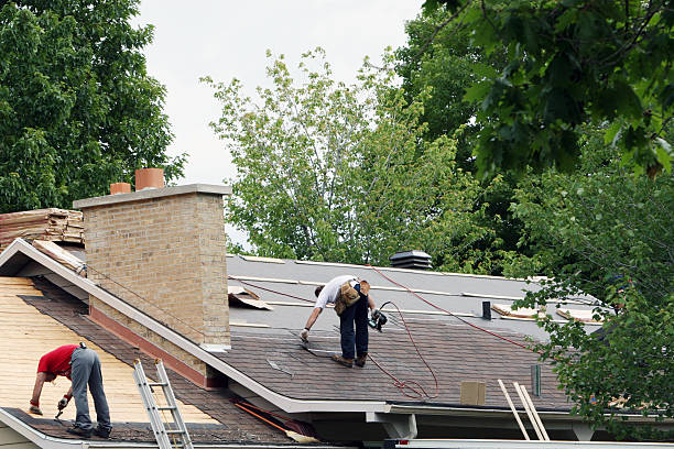 Best Roof Maintenance and Cleaning  in Sebewaing, MI