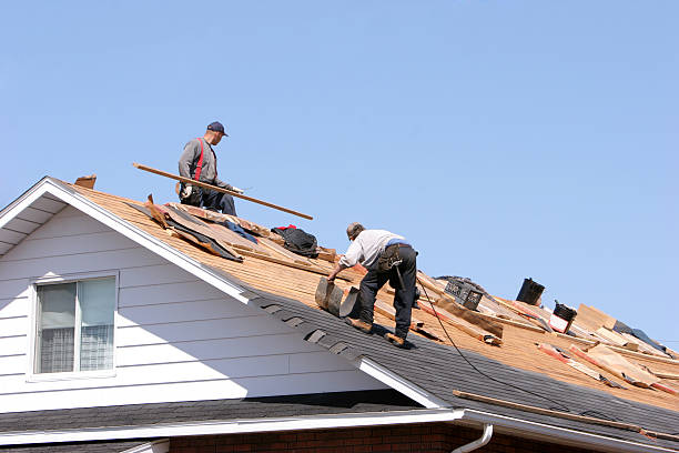 Best Solar Panel Roofing Installation  in Sebewaing, MI